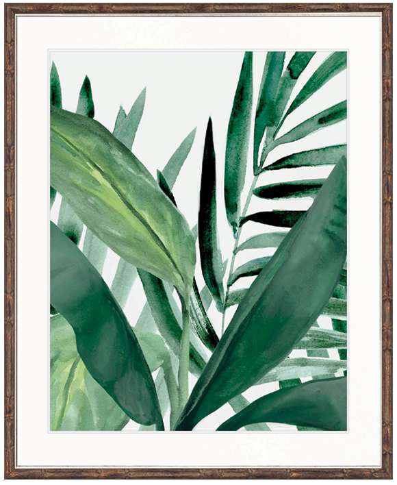 "Designer Boys Collections" Shalla Tropic III Artwork, Shalla Foliage Collection - Image 2