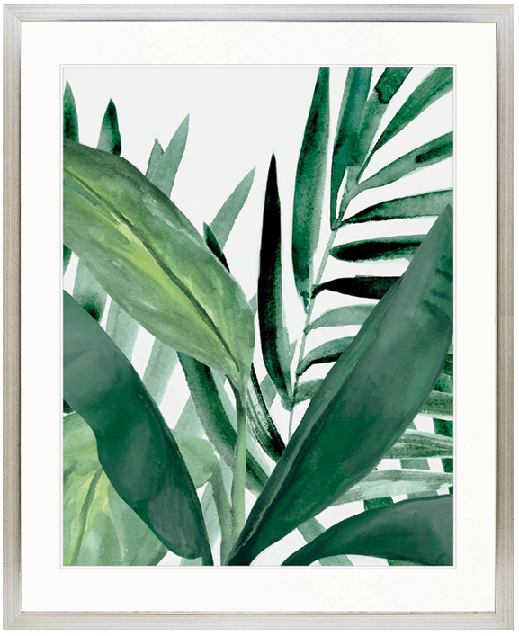 "Designer Boys Collections" Shalla Tropic III Artwork, Shalla Foliage Collection - Image 3