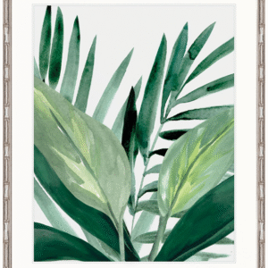 wp-image-tigress-31516.png "Designer Boys Collections" Shalla Tropic IV Artwork, Shalla Foliage Collection