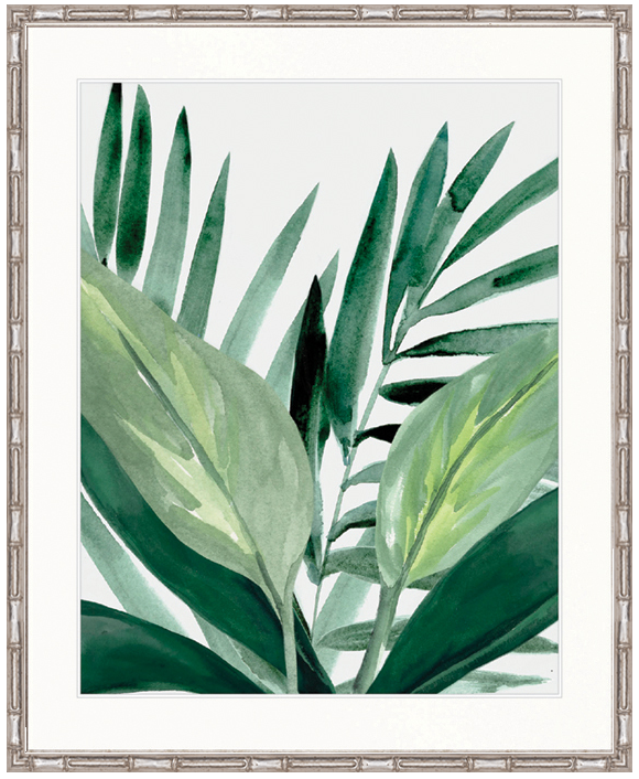 "Designer Boys Collections" Shalla Tropic IV Artwork, Shalla Foliage Collection