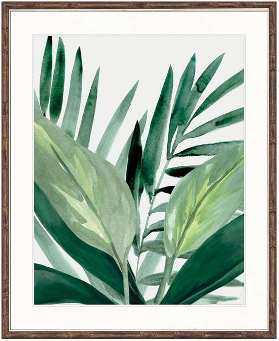 "Designer Boys Collections" Shalla Tropic IV Artwork, Shalla Foliage Collection - Image 2