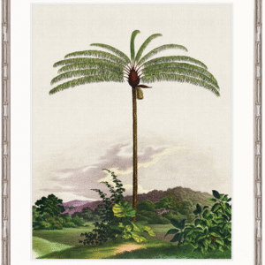 wp-image-tigress-31546.png "Designer Boys Collections" Vintage Palm Study I Artwork, Kasimir Palm Collection