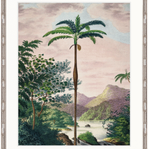 wp-image-tigress-31577.png "Designer Boys Collections" Vintage Palm Study II Artwork, Kasimir Palm Collection