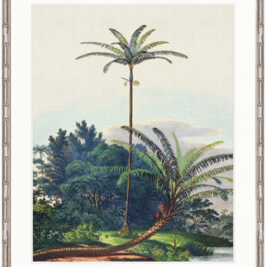 wp-image-tigress-31607.png "Designer Boys Collections" Vintage Palm Study III Artwork, Kasimir Palm Collection