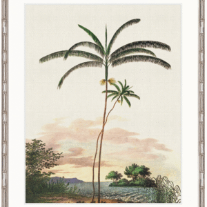 wp-image-tigress-31637.png "Designer Boys Collections" Vintage Palm Study IV Artwork, Kasimir Palm Collection