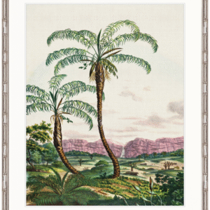 wp-image-tigress-31668.png "Designer Boys Collections" Vintage Palm Study V Artwork, Kasimir Palm Collection