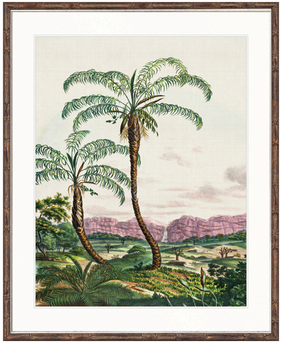 "Designer Boys Collections" Vintage Palm Study V Artwork, Kasimir Palm Collection - Image 2