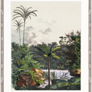 wp-image-tigress-31699.png "Designer Boys Collections" Vintage Palm Study VI Artwork, Kasimir Palm Collection