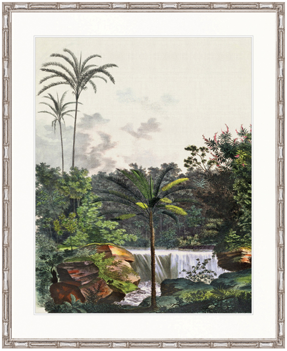 "Designer Boys Collections" Vintage Palm Study VI Artwork, Kasimir Palm Collection