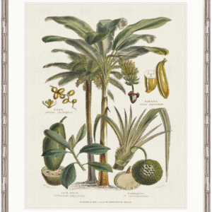 wp-image-tigress-31897.png "Designer Boys Collections" Tropicano Delight I Artwork, Paradiso Tropic Collection