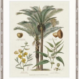 wp-image-tigress-31925.png "Designer Boys Collections" Tropicano Delight II Artwork, Paradiso Tropic Collection