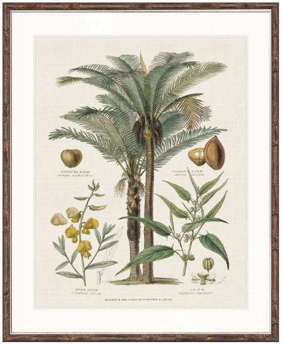 "Designer Boys Collections" Tropicano Delight II Artwork, Paradiso Tropic Collection - Image 2