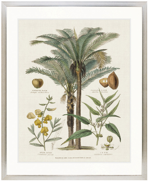 "Designer Boys Collections" Tropicano Delight II Artwork, Paradiso Tropic Collection - Image 3