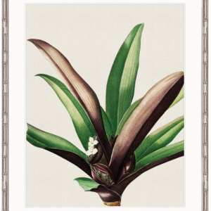 wp-image-tigress-32011.png "Designer Boys Collections" Lush Tropic I Artwork, Amali Tropic Collection