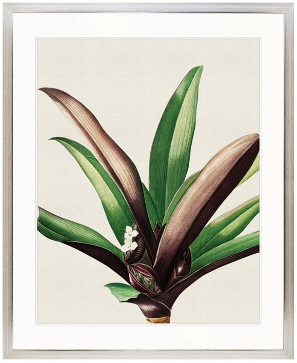"Designer Boys Collections" Lush Tropic I Artwork, Amali Tropic Collection - Image 3