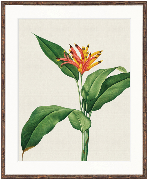 "Designer Boys Collections" Lush Tropic II Artwork, Amali Tropic Collection - Image 2