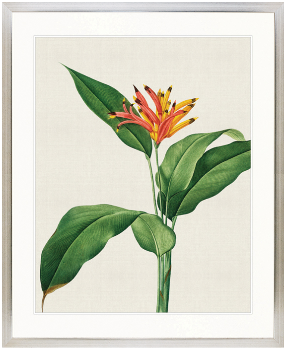 "Designer Boys Collections" Lush Tropic II Artwork, Amali Tropic Collection - Image 3