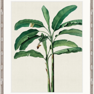 wp-image-tigress-32071.png "Designer Boys Collections" Lush Tropic III Artwork, Amali Tropic Collection