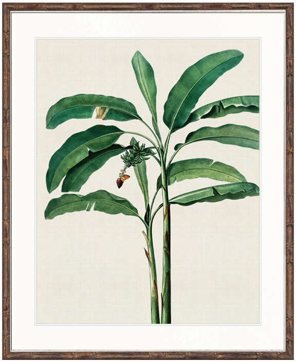 "Designer Boys Collections" Lush Tropic III Artwork, Amali Tropic Collection - Image 2