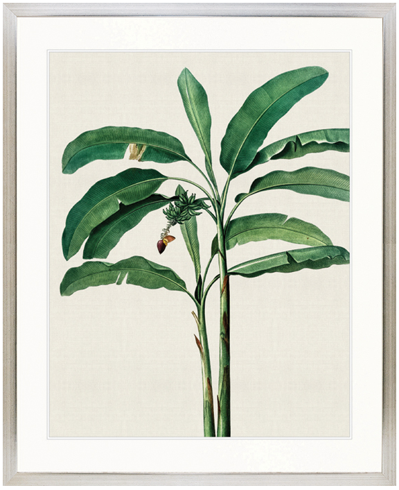 "Designer Boys Collections" Lush Tropic III Artwork, Amali Tropic Collection - Image 3