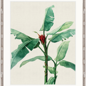 wp-image-tigress-32165.png "Designer Boys Collections" Lush Tropic IX Artwork, Amali Tropic Collection