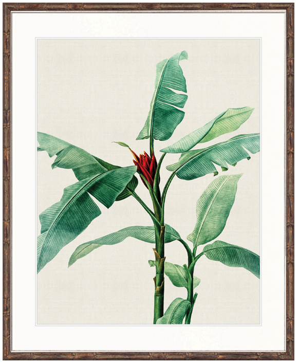 "Designer Boys Collections" Lush Tropic IX Artwork, Amali Tropic Collection - Image 2