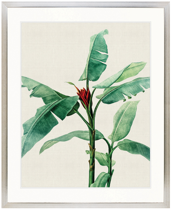 "Designer Boys Collections" Lush Tropic IX Artwork, Amali Tropic Collection - Image 3