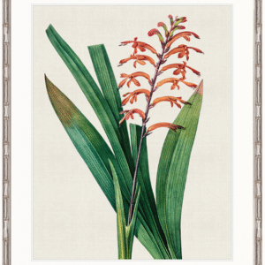 wp-image-tigress-32168.png "Designer Boys Collections" Lush Tropic V Artwork, Amali Tropic Collection