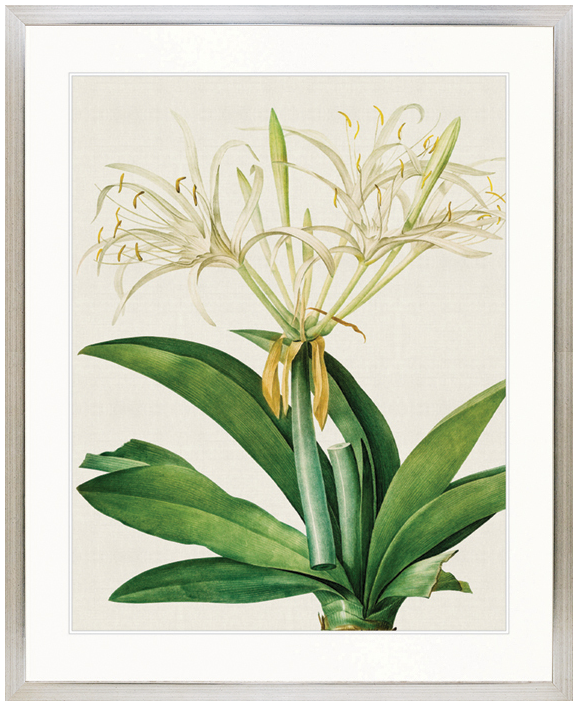 "Designer Boys Collections" Lush Tropic VII Artwork, Amali Tropic Collection - Image 3