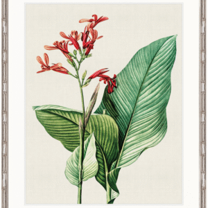 wp-image-tigress-32258.png "Designer Boys Collections" Lush Tropic VIII Artwork, Amali Tropic Collection