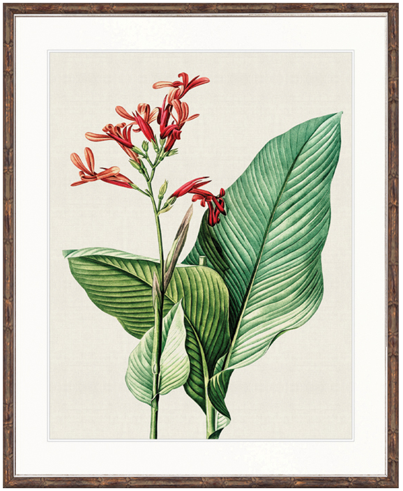 "Designer Boys Collections" Lush Tropic VIII Artwork, Amali Tropic Collection - Image 2