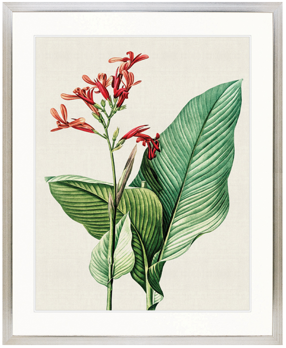 "Designer Boys Collections" Lush Tropic VIII Artwork, Amali Tropic Collection - Image 3