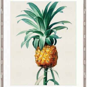 wp-image-tigress-32319.png "Designer Boys Collections" Lush Tropic XI Artwork, Amali Tropic Collection