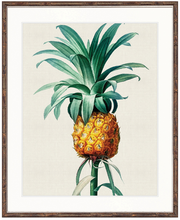 "Designer Boys Collections" Lush Tropic XI Artwork, Amali Tropic Collection - Image 2