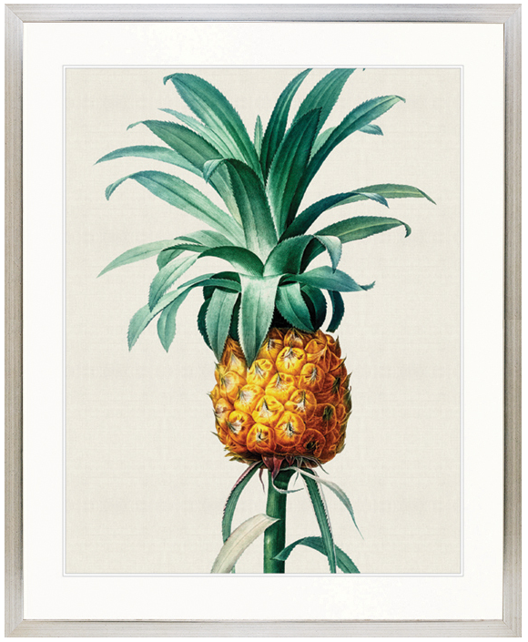 "Designer Boys Collections" Lush Tropic XI Artwork, Amali Tropic Collection - Image 3