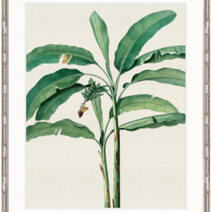 wp-image-tigress-32349.png "Designer Boys Collections" Lush Tropic XII Artwork, Amali Tropic Collection