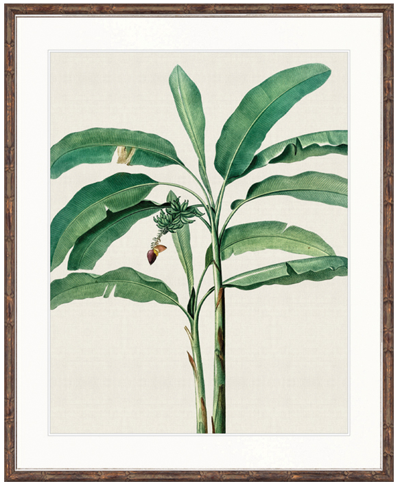 "Designer Boys Collections" Lush Tropic XII Artwork, Amali Tropic Collection - Image 2
