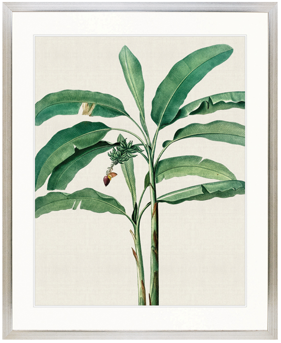 "Designer Boys Collections" Lush Tropic XII Artwork, Amali Tropic Collection - Image 3