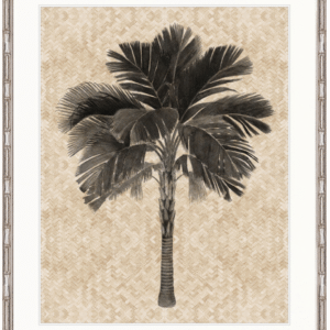 wp-image-tigress-32420.png "Designer Boys Collections" Yasawa Palm I Artwork, Yasawa Palm Collection