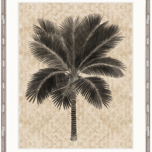 wp-image-tigress-32452.png "Designer Boys Collections" Yasawa Palm II Artwork, Yasawa Palm Collection