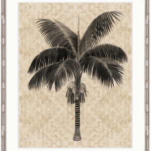 wp-image-tigress-32482.png "Designer Boys Collections" Yasawa Palm III Artwork, Yasawa Palm Collection