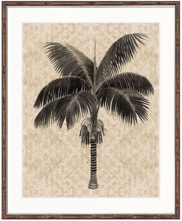 "Designer Boys Collections" Yasawa Palm III Artwork, Yasawa Palm Collection - Image 2