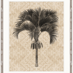 wp-image-tigress-32520.png "Designer Boys Collections" Yasawa Palm IV Artwork, Yasawa Palm Collection