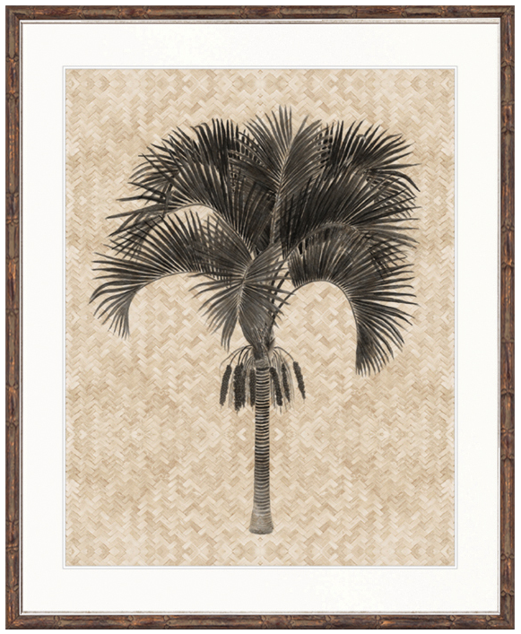 "Designer Boys Collections" Yasawa Palm IV Artwork, Yasawa Palm Collection - Image 2