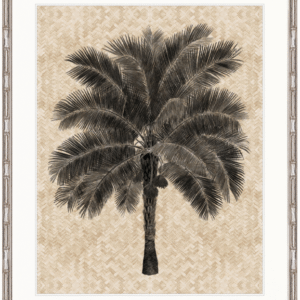 wp-image-tigress-32560.png "Designer Boys Collections" Yasawa Palm V Artwork, Yasawa Palm Collection