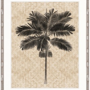wp-image-tigress-32596.png "Designer Boys Collections" Yasawa Palm VI Artwork, Yasawa Palm Collection