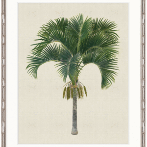 "Designer Boys Collections" Kebaya Palm I Artwork, Kebaya Palm Collection