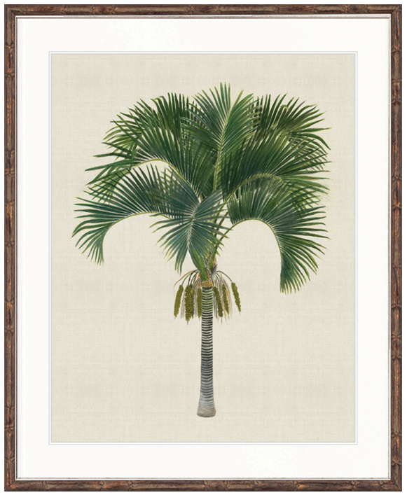 "Designer Boys Collections" Kebaya Palm I Artwork, Kebaya Palm Collection - Image 2