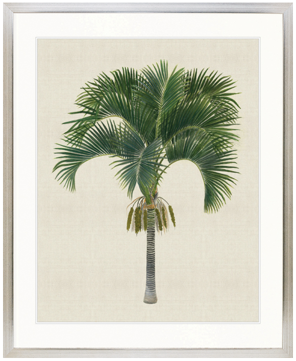 "Designer Boys Collections" Kebaya Palm I Artwork, Kebaya Palm Collection - Image 3