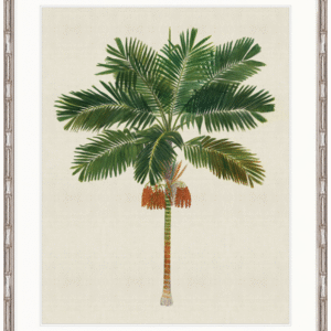 "Designer Boys Collections" Kebaya Palm III Artwork, Kebaya Palm Collection